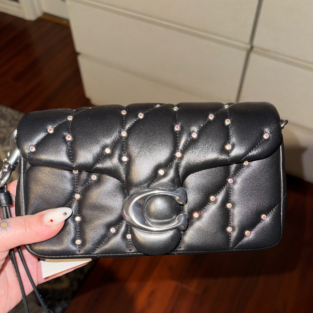 NWT crystal wristlet tabby